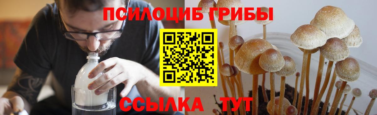 Галлюциногенные грибы ЛСД  Вход с VPN  закладки  Воткинск  Галлюциногенные грибы Psilocybe 